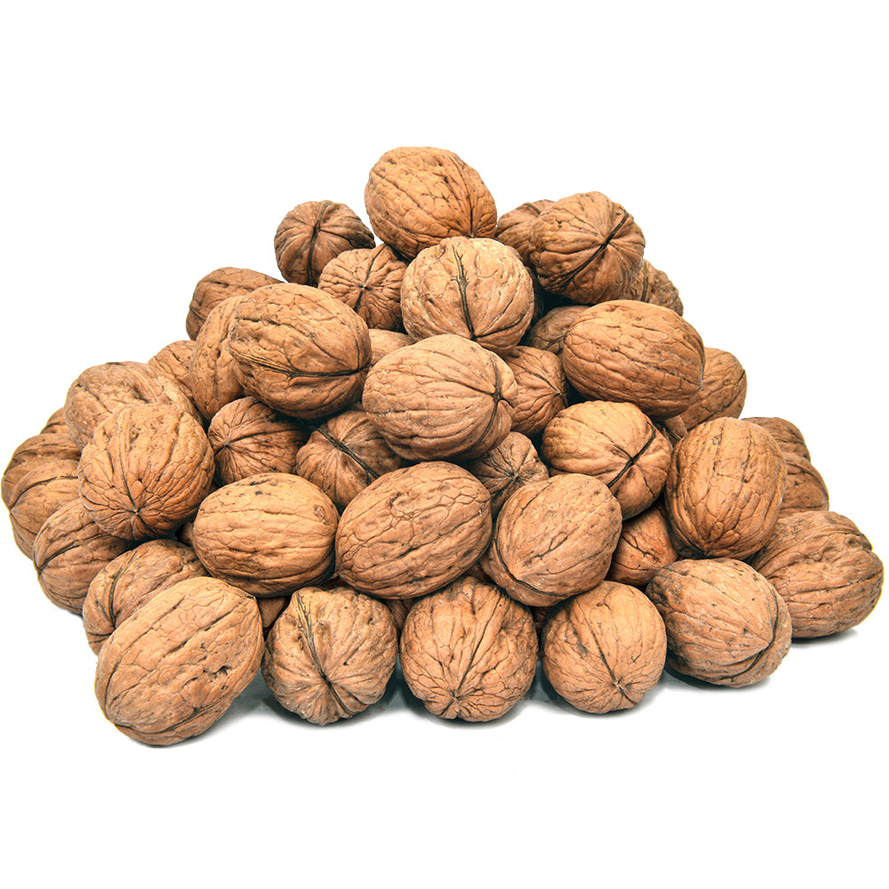 Akhrot Sabat / Walnut / اخروٹ ثابت